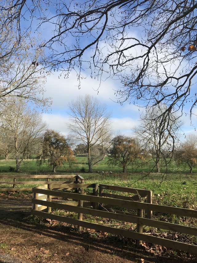 233a Raynes Road Rukuhia_4