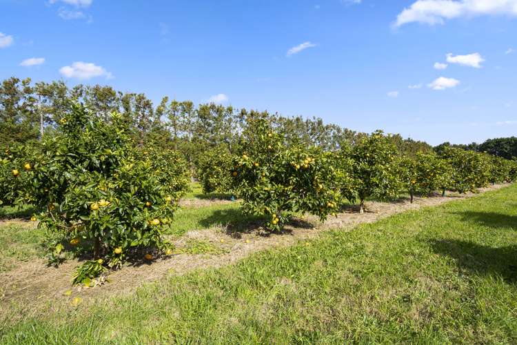 908 Te Ahu Ahu Road Waimate North_7