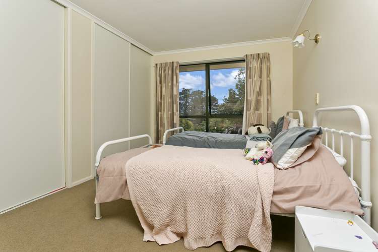 6 Top Road Dairy Flat_26