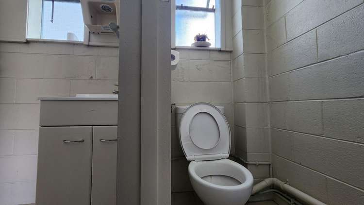 Level 1 Studio/123 Manukau Road Epsom_7