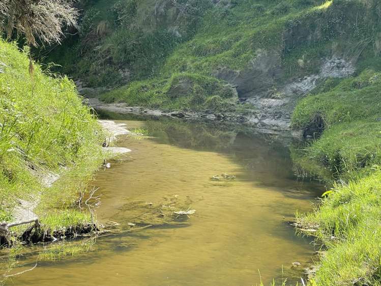 851 Awamate Road Frasertown_23