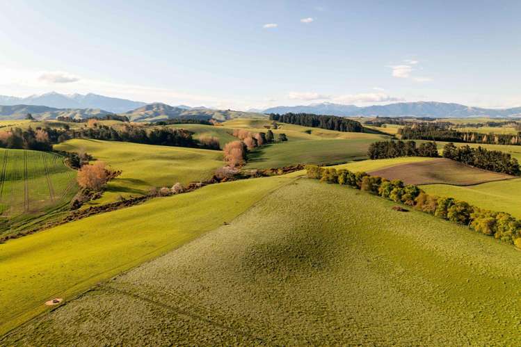 Rowallan Road Darfield_9