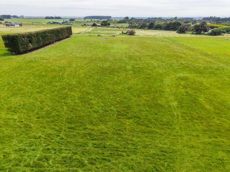 5 Ackers Road New River Ferry_7