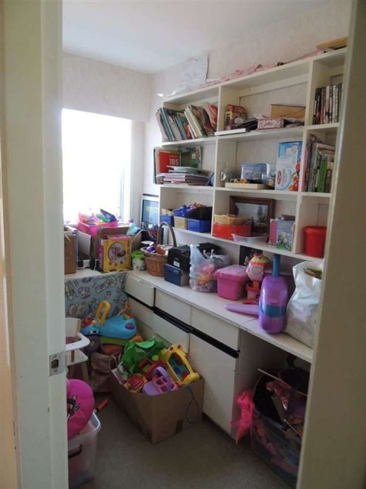 17 David Street Morrinsville_15