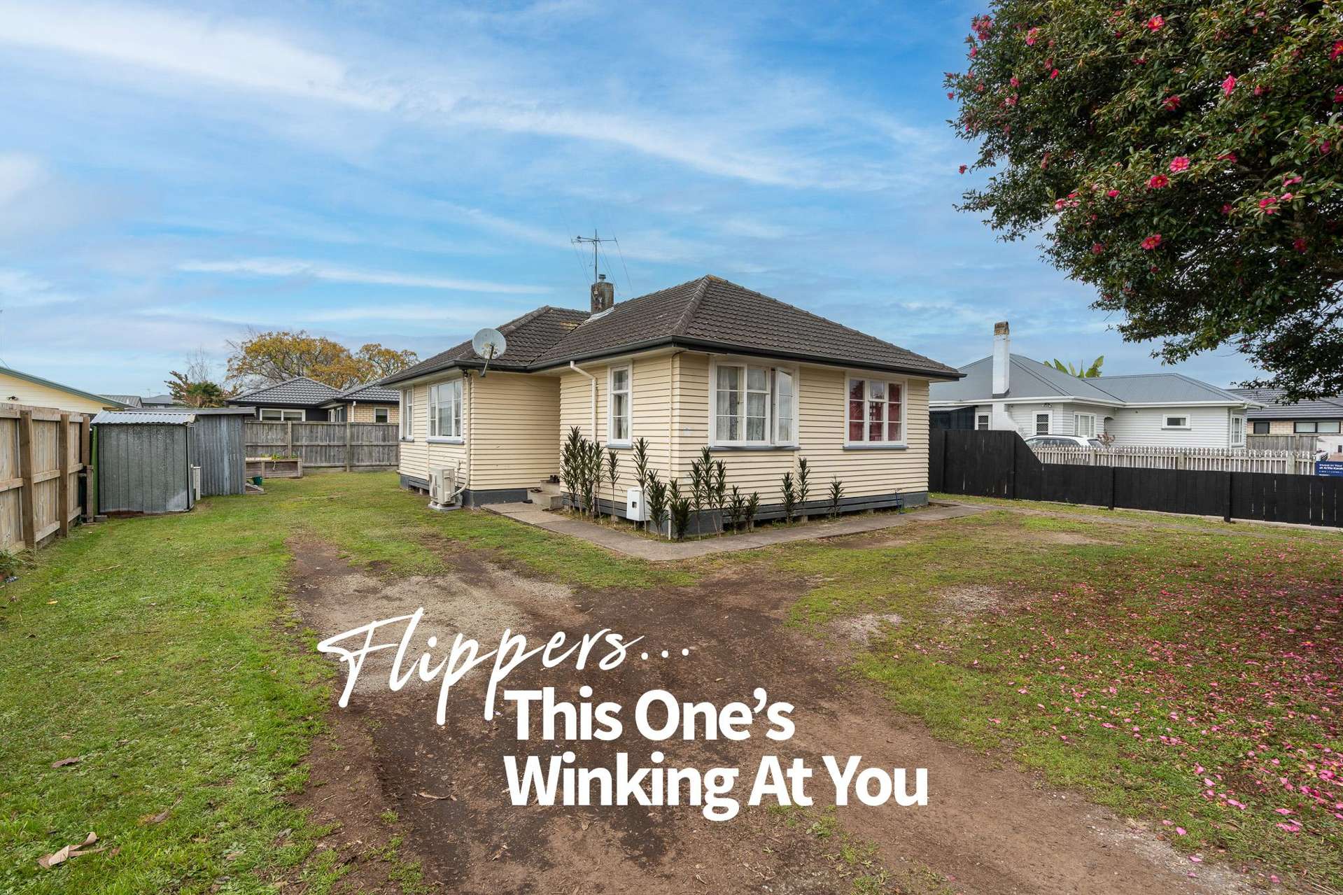 31 Karaka Street Nawton_0
