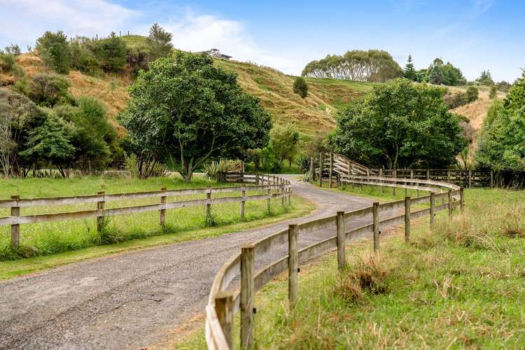 763 White Pine Bush Road Whakatane_17