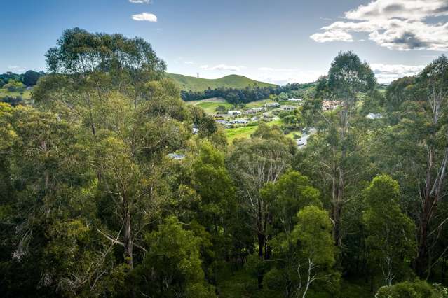 19 Ridgeway Terrace Taradale_2