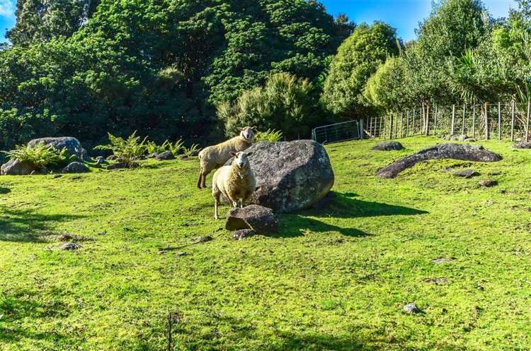 185 Drury Hills Road Drury_18