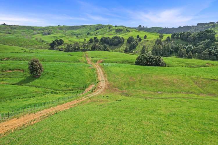 895 Wairamarama Onewhero Road Onewhero_22