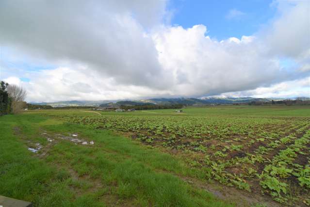 6/111 Muhunoa West Road Ohau_3