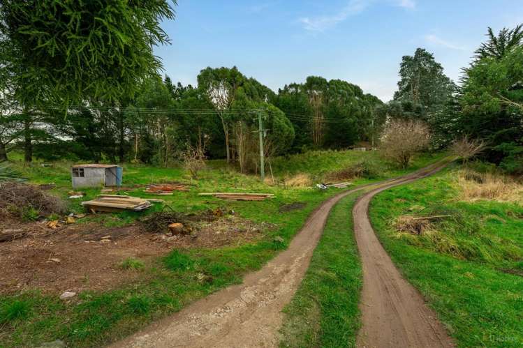 3763 Hampden-Palmerston Road, Hillgrove Moeraki_22