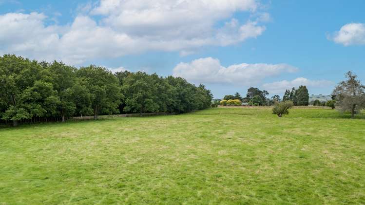 95 Settlement Road Waipukurau and Surrounds_7