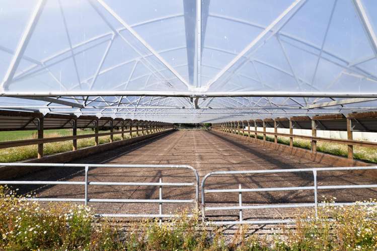 902 Avondale Road Taringatura_2