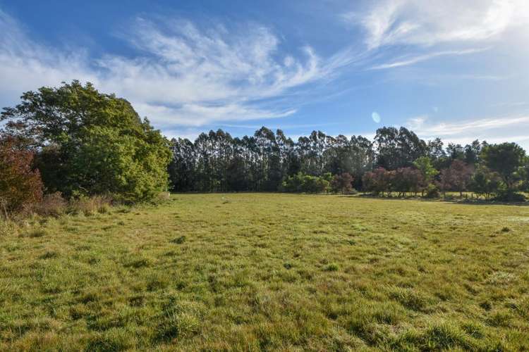 114 Tararua Drive Masterton_6