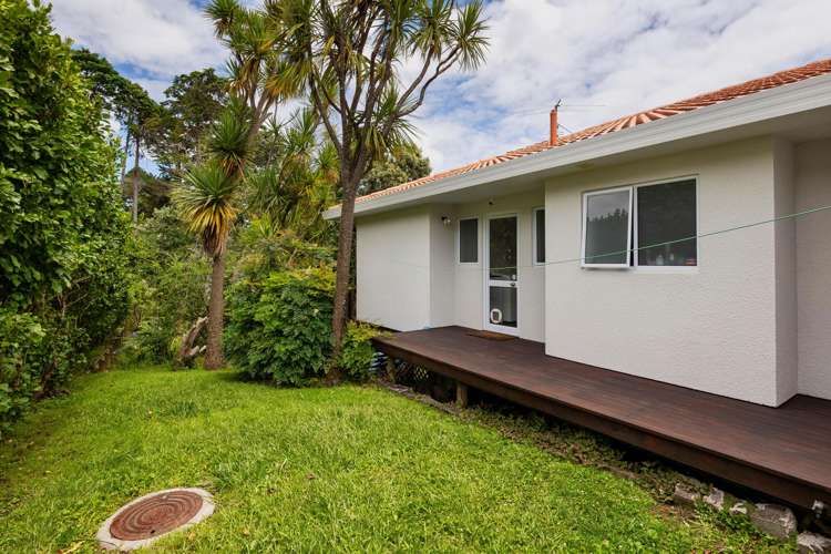 46C Fairlands Avenue Waterview_19