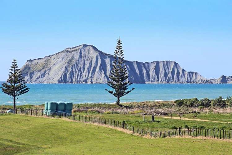 2/8 Gilray Place Waimarama_20