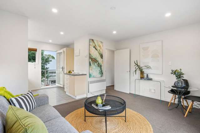 10i Sylvan Avenue East Mount Eden_2