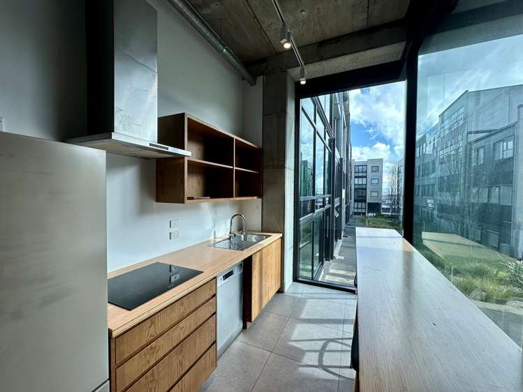 5 Crummer Road Grey Lynn_9