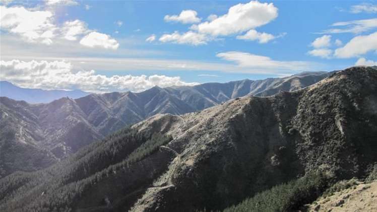 1234 Leatham Road Wairau Valley_12