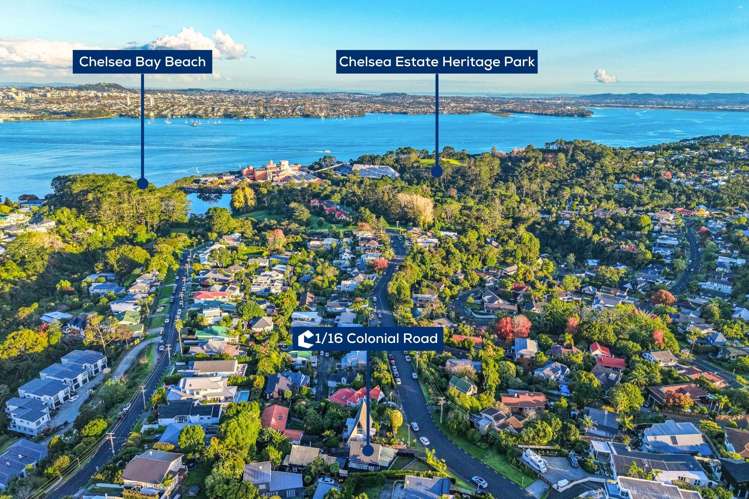 1/16 Colonial Road Birkenhead_19