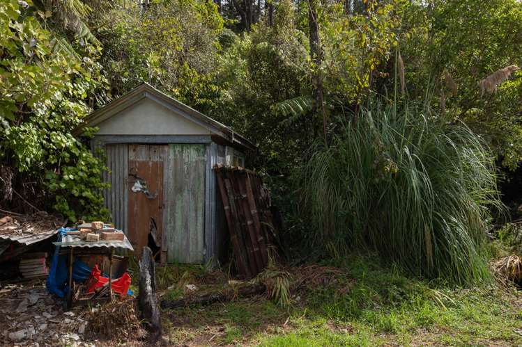 294 Tapu Coroglen Road Tapu_7