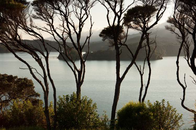 Manawaora Road Russell Surrounds_11