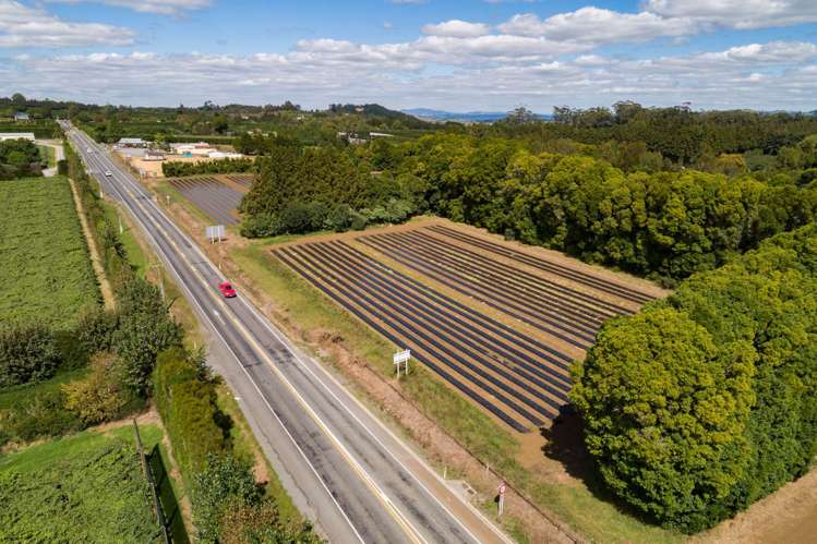 1433 State Highway 10 Kerikeri_8