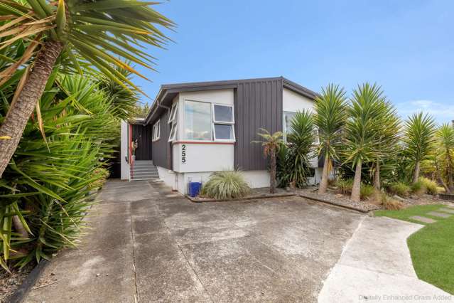 255 Cambridge Street Levin_3