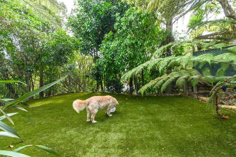 6 Royal Viking Way Lynfield_29