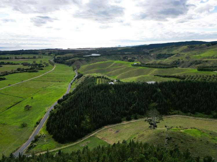 1/461 Otamarakau Valley Road Pukehina_13