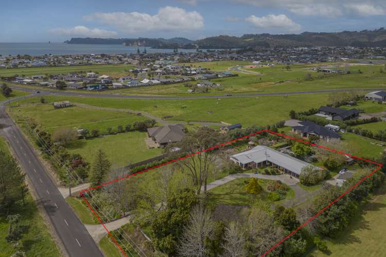 62 Racecourse Road Whitianga_25