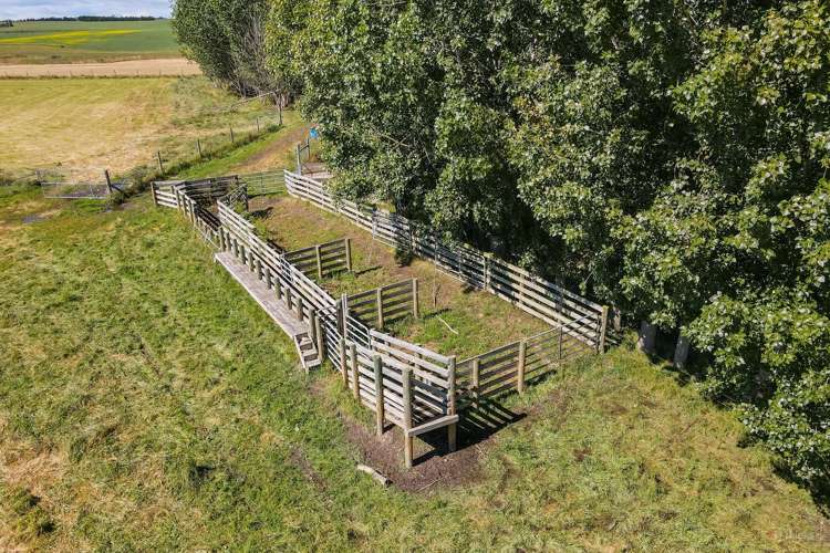 240 Levels Valley Road Levels Valley_3