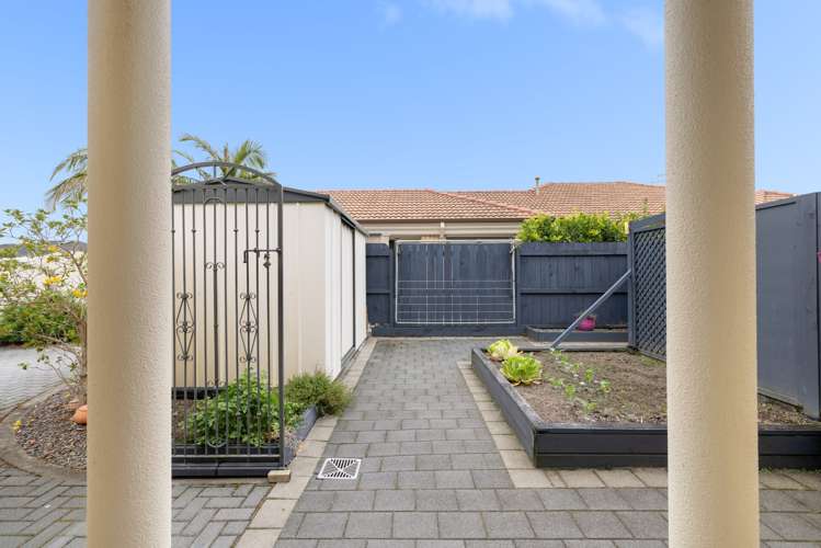 7 Kokomo Key Papamoa_21