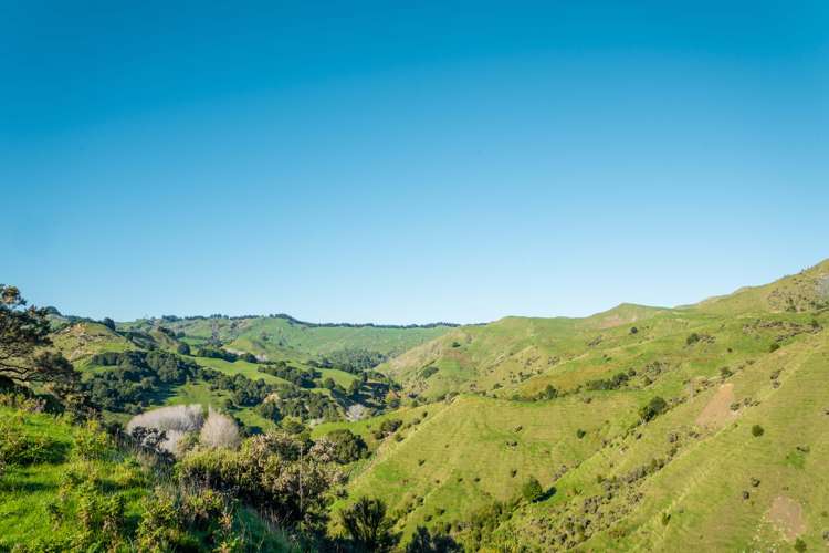 229 Rangikohua Road Tolaga Bay_12