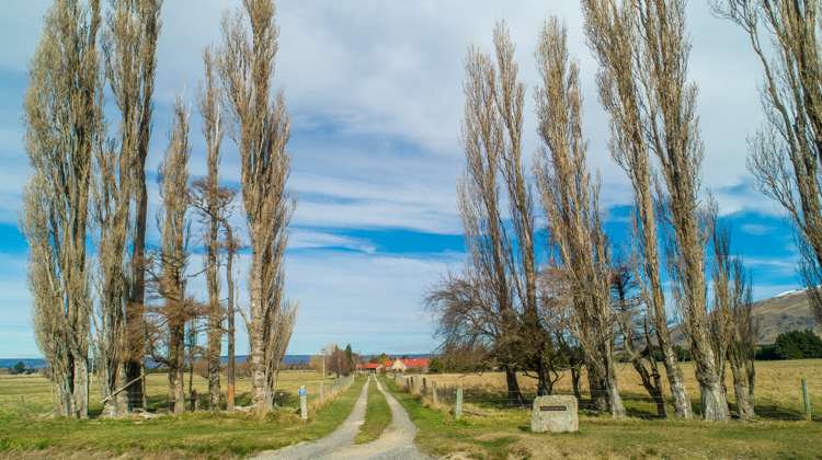 173 Browns Road Middlemarch_18