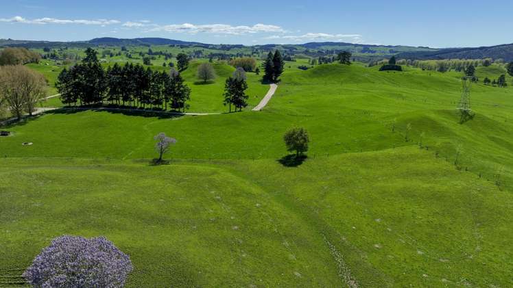 441 State Highway 38 Rerewhakaaitu_17