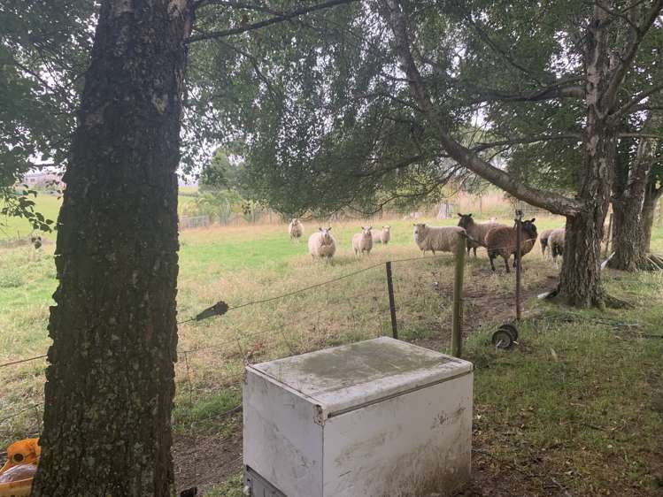 42 Pounawea Road Owaka_20