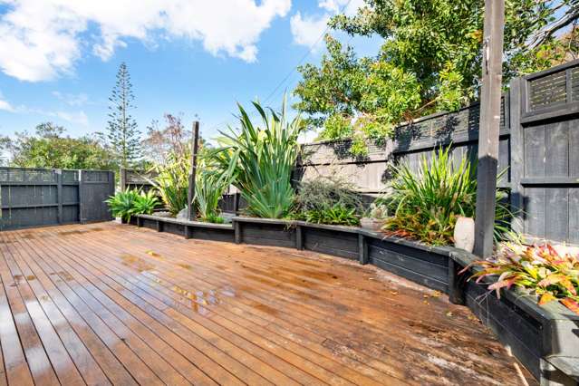 7a Cedar Terrace Stanmore Bay_1