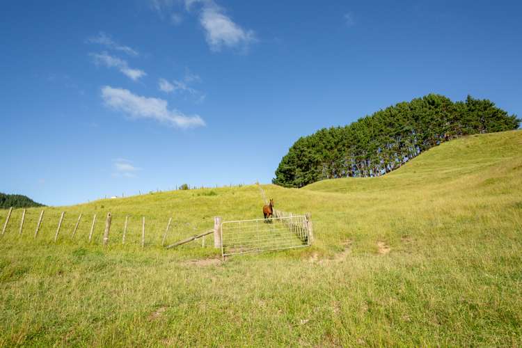 1595 Waingaro Road Glen Massey_6