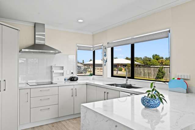 33 Sussex Street Masterton_3