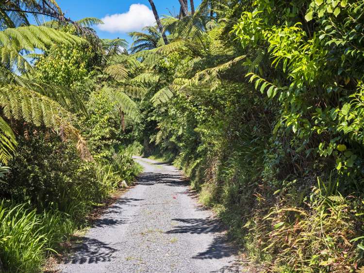 295b Minden Road Wairoa_15