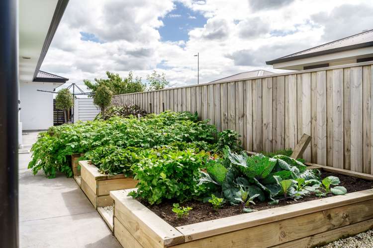 26 Jean Archie Drive Rolleston_20