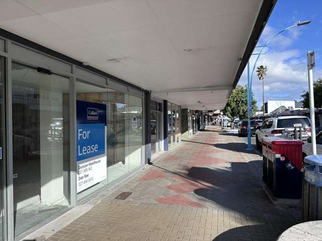 155 Maunganui Road Mount Maunganui_2