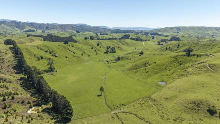344 North Road Masterton_15