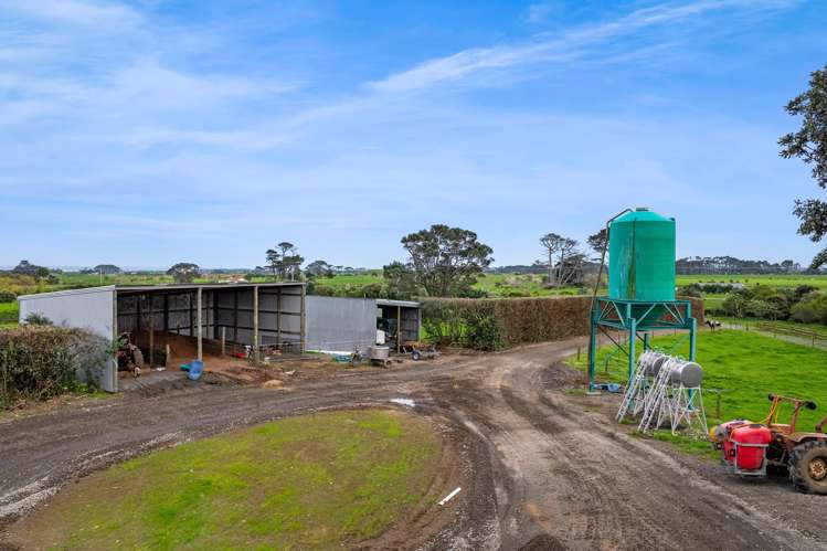 192 Upper Kina Road Oaonui_13