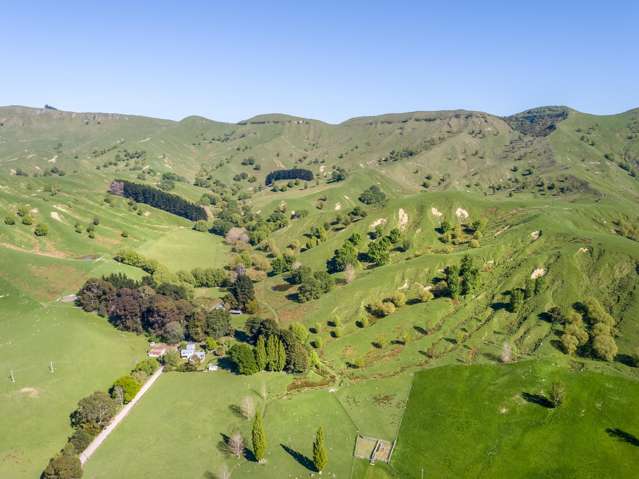 "Wainui" - 254 ha