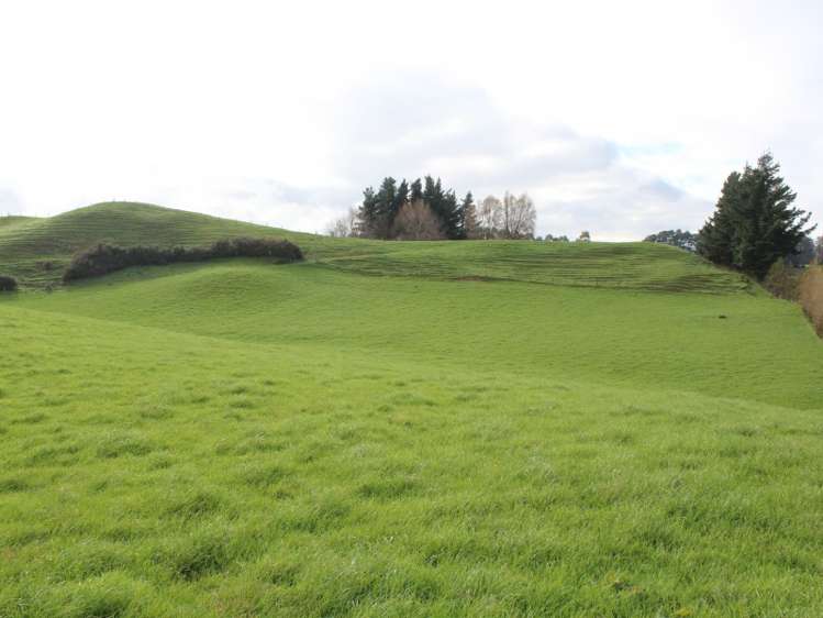 86 Glengarry Road Dannevirke_10