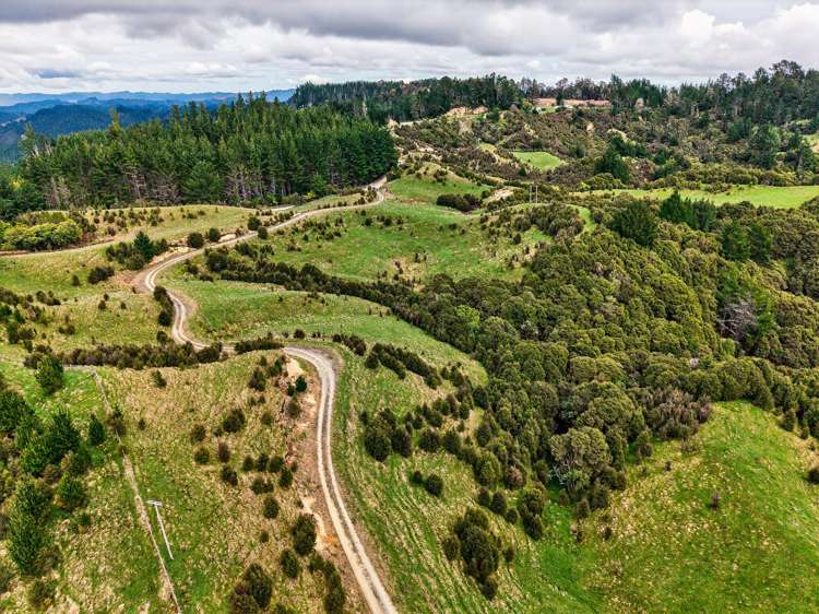 3086 Tuahu Road Tauwhareparae_9