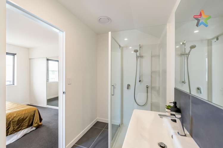 15 Te Ara O Te Amo Hohipene Petone_11