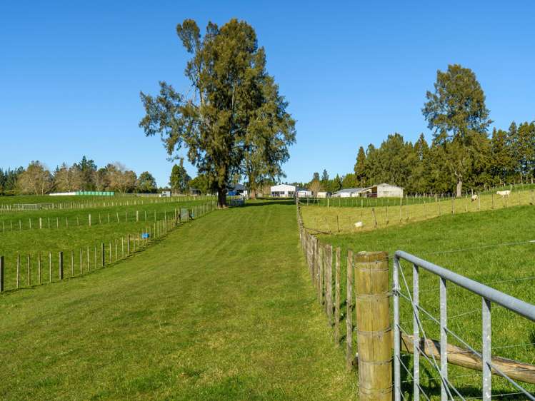 1128d Omanawa Road Kaimai_8